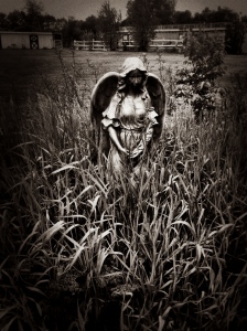 This stone angel is weirdly situated in a grove of weeds and natural grasses on my dad's property south of Bismarck, ND. It makes me said, but hopeful, all at once.